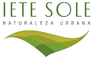 LOTES EN SIETE SOLES – PARTERRES – 600 M2. POSESION EN 2 MESES.