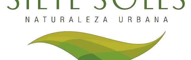 LOTES EN SIETE SOLES – PARTERRES – 600 M2. POSESION EN 2 MESES.