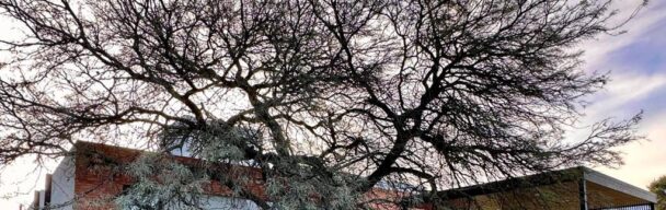 VENTA – CASA – VALLE DEL GOLF – 3 DORM. SUITTE – VESTIDOR – TODO PLANTA BAJA